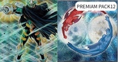 PREMIUM PACK 12