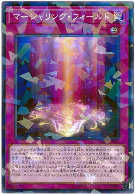 マーシャリング・フィールド【DBIC-JP045】【パラレル仕様】