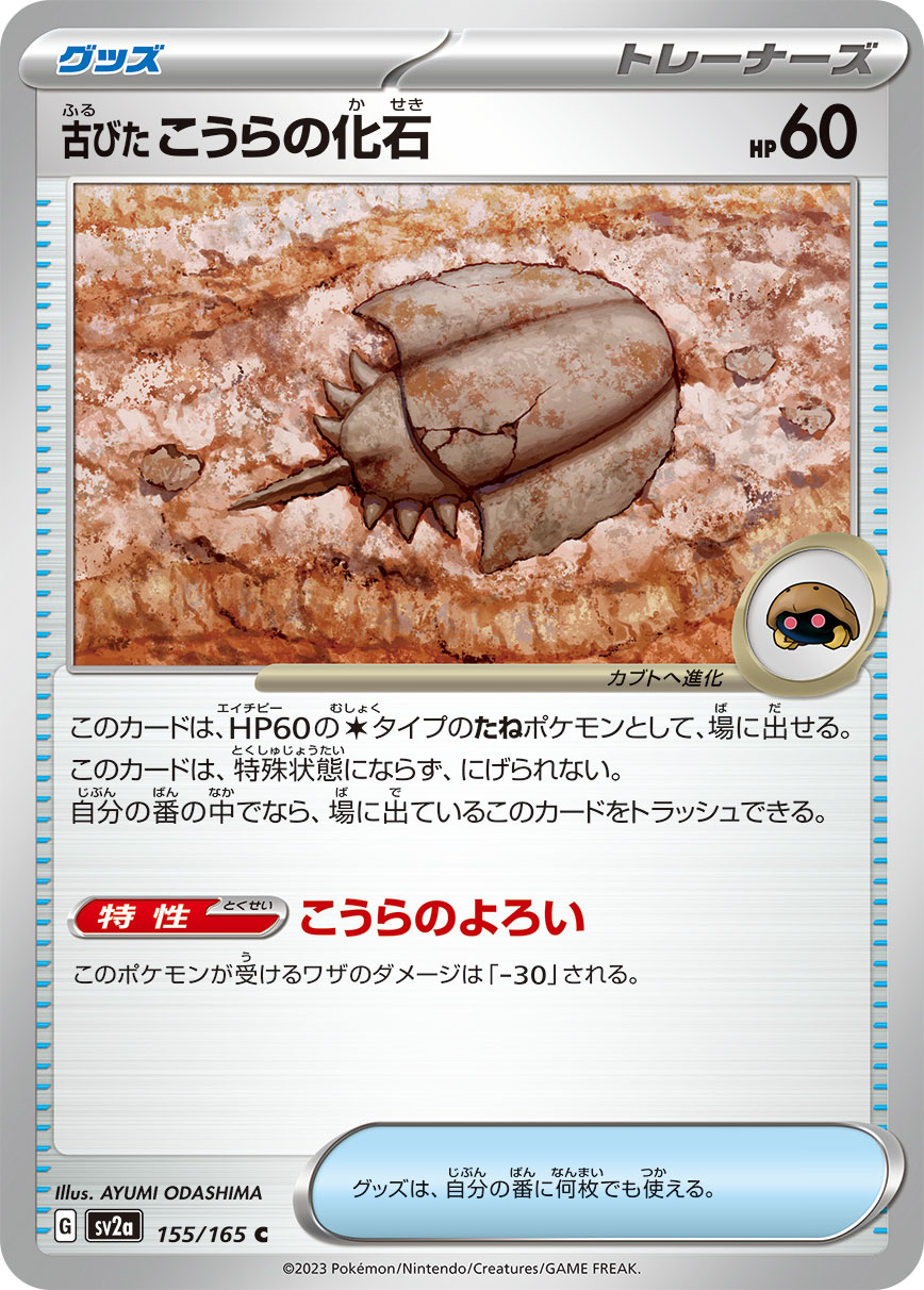古びたこうらの化石【SV2a】155/165