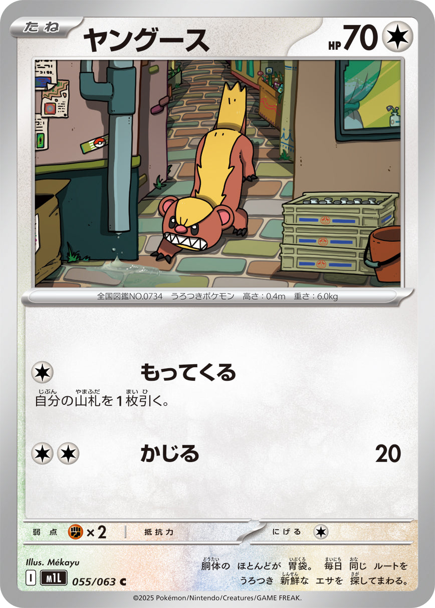 ヤングース【M1L】055/063