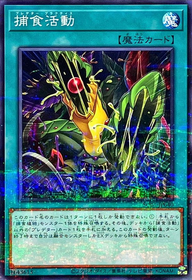 捕食活動【SUB1-JP040】【パラレル仕様】