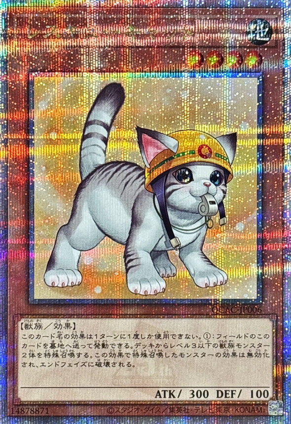 レスキューキャット【QCAC-JP006】【クォーターセンチュリーシークレットレア】【新】