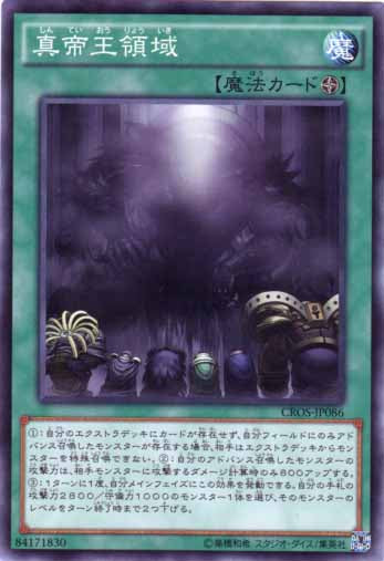 真帝王領域【CROS-JP086】
