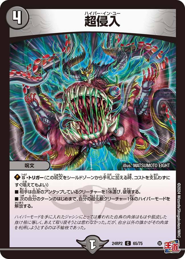 超侵入【DM24RP2 65/75】