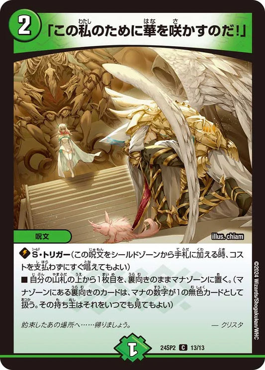 「この私のために華を咲かすのだ！」【DM24SP2 13/13】