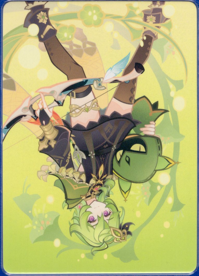GCG01B-C015② コレイ