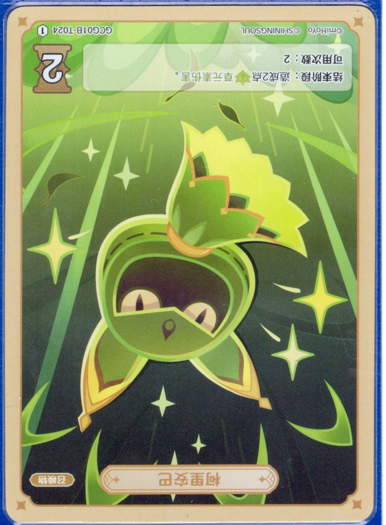 GCG01B-T024①